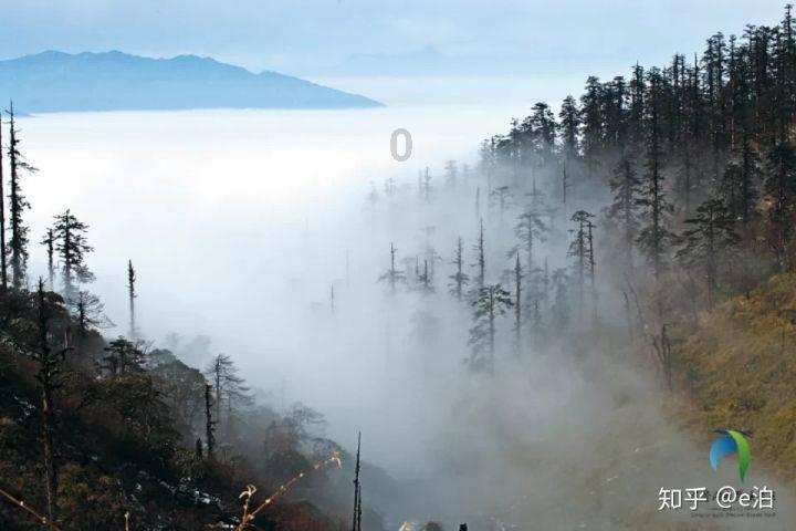 控股股东持股将遭强拍 庚星股份或第四次易主