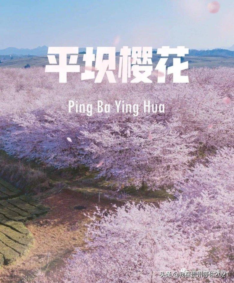 同色彩相撞