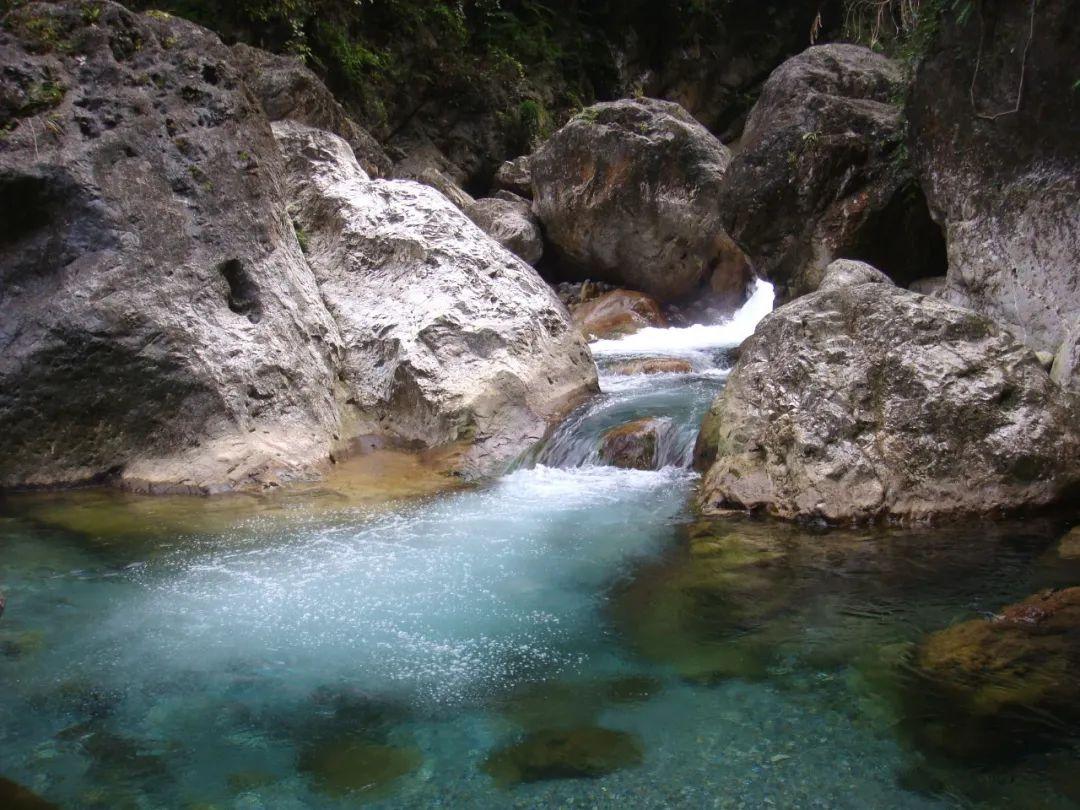 逃离水虎鱼湖