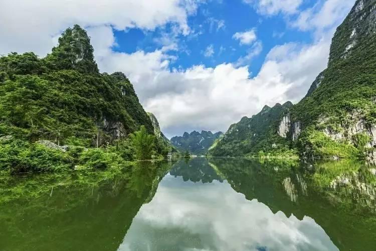 逃离诡异之林