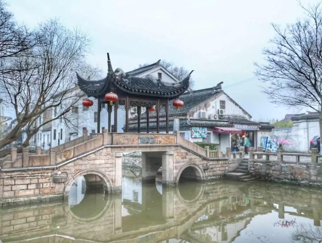 救援鹦鹉