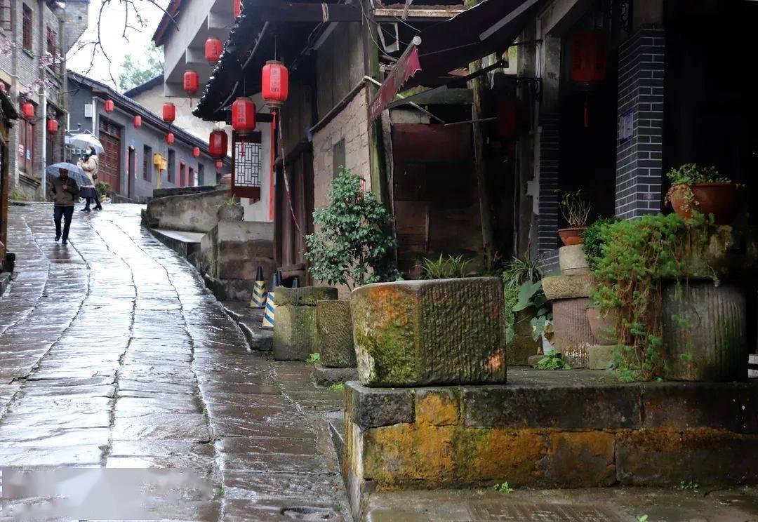 救援大嘴鸟